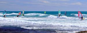 Windsurfing, Ocean, Waves, Sports wallpaper thumb