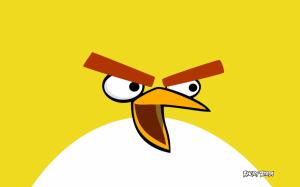 Yellow Bird in Angry Birds wallpaper thumb