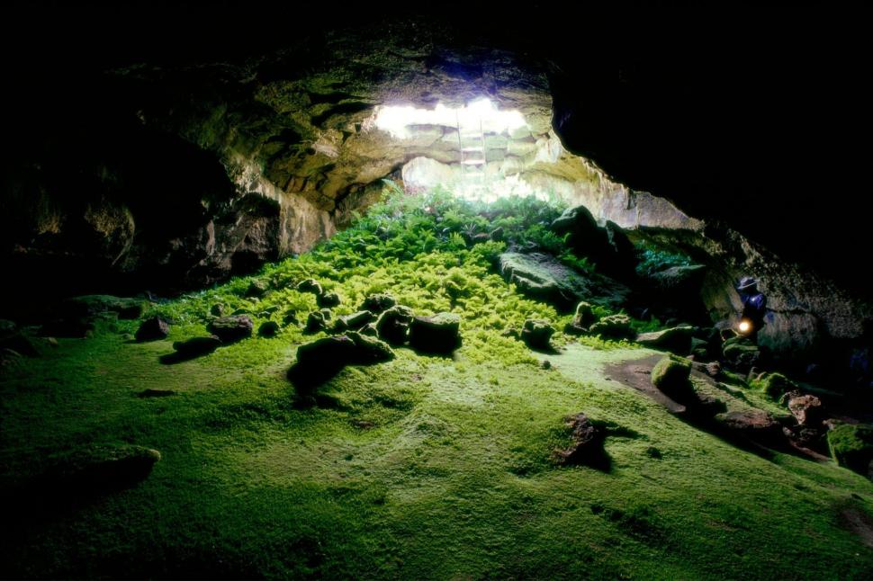 Earth Under Ground wallpaper,nature HD wallpaper,cave HD wallpaper,other HD wallpaper,moss HD wallpaper,3d & abstract HD wallpaper,1999x1333 wallpaper