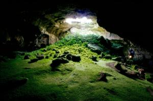 Earth Under Ground wallpaper thumb