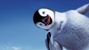 Funny Penguin  Free Download wallpaper thumb