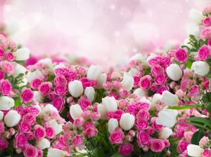 Many flowers, white tulips, pink rose wallpaper thumb