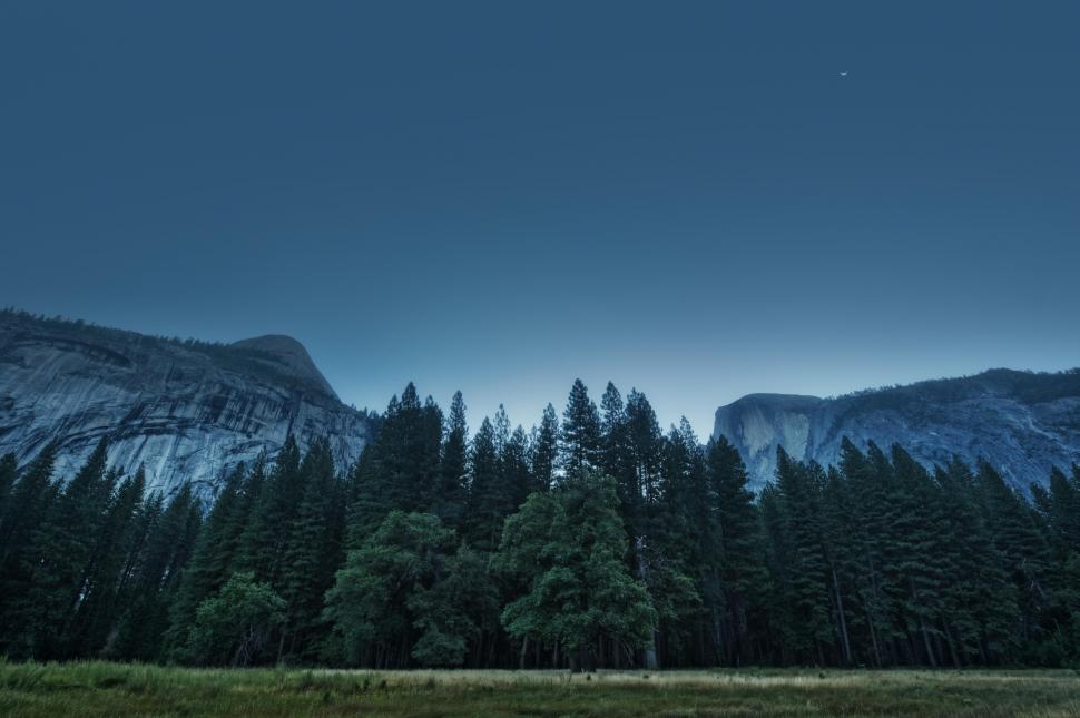 Trees, forest, mountains, usa, california, yosemite valley, national park wallpaper,trees HD wallpaper,forest HD wallpaper,mountains HD wallpaper,california HD wallpaper,yosemite valley HD wallpaper,national park HD wallpaper,4256x2832 wallpaper