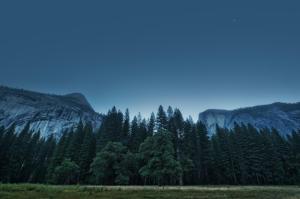 trees, forest, mountains, usa, california, yosemite valley, national park wallpaper thumb
