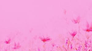 Summer Pink Light wallpaper thumb
