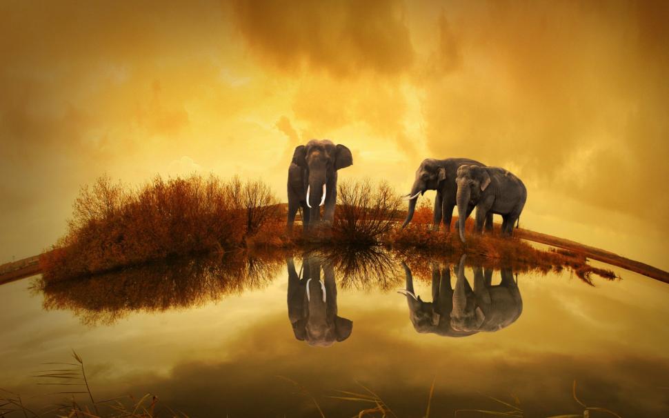 Thailand Elephants wallpaper,Thailand   HD wallpaper,Elephants HD wallpaper,4k animals HD wallpaper,2880x1800 wallpaper