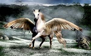 pegasus animal beautiful dream fairytale fantasy horse Horses white wings HD wallpaper thumb