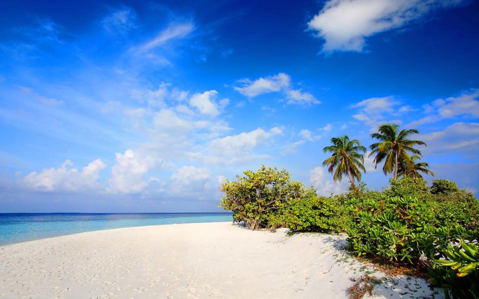 White Sand Beach on an Island wallpaper,Scenery HD wallpaper,2560x1600 wallpaper
