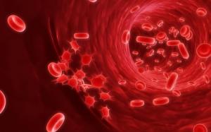 Blood cells wallpaper thumb