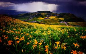 Meadow, flowers field, yellow lilies, village, houses, clouds wallpaper thumb