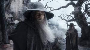 The Lord of the Rings The Hobbit Gandalf Wizard Ian McKellen Beard HD wallpaper thumb