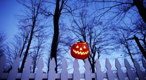halloween, holiday, pumpkin, fence, trees, sky wallpaper thumb
