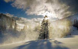 Forest, snow, winter, mountains, fog, clouds, sun wallpaper thumb