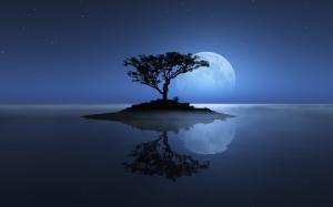 Blue Tree Moon Night Reflection HD wallpaper thumb