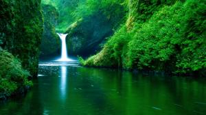 Waterfall Green River Stream Plant Forest Tropical HD wallpaper thumb