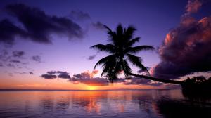 Purple Sunset in French Polynesia wallpaper thumb