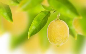 Fruit, yellow lemon, leaves, bokeh wallpaper thumb