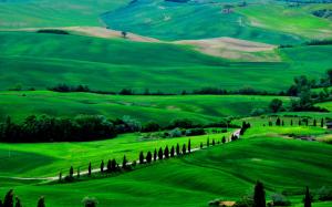 Italy, Tuscany, spring scenery, fields, road, trees, green wallpaper thumb