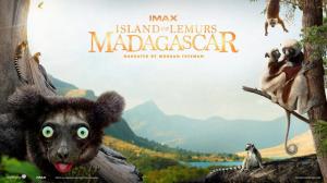 island of lemurs madagascar, morgan freeman, david douglas wallpaper thumb