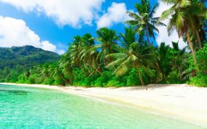 Tropical, paradise, beach, coast, sea, palm trees, summer wallpaper thumb