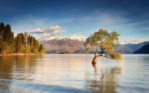New Zealand, South Island, Lake Wanaka, mountains, water, trees wallpaper thumb