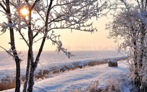 Winter, fields, white snow, trees, frost, sun rays wallpaper thumb