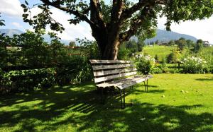 Kitzbuhel, Austria, summer, trees, bench, grass wallpaper thumb
