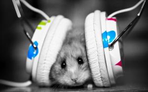 Mouse with headphones wallpaper thumb
