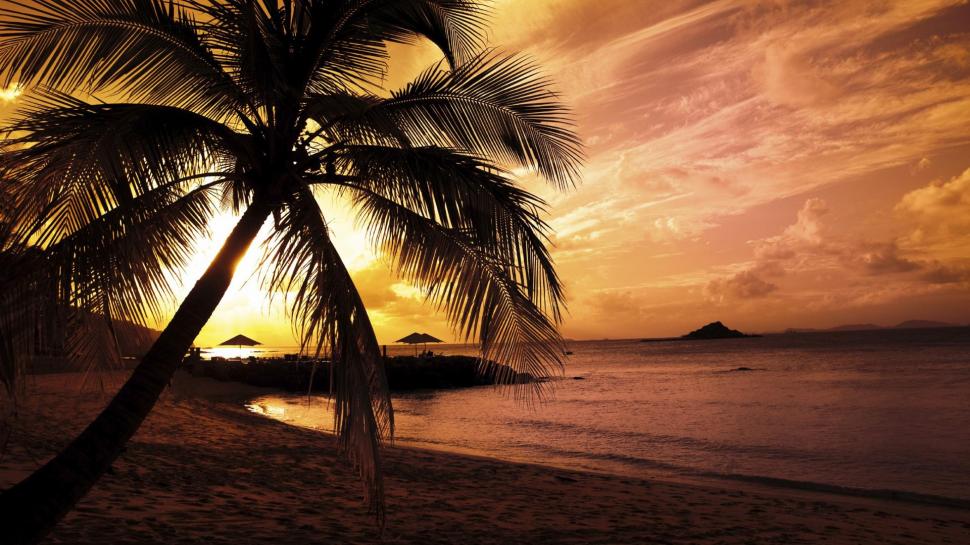Palm Trees In Sunset wallpaper,nature HD wallpaper,palm trees HD wallpaper,sunset HD wallpaper,3d & abstract HD wallpaper,1920x1080 wallpaper