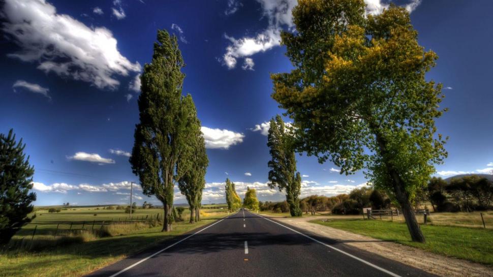 Trees Along with Empty Road HD wallpaper,1920x1080 HD wallpaper,empty road HD wallpaper,empty HD wallpaper,road HD wallpaper,trees HD wallpaper,1920x1080 wallpaper