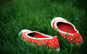 Red Shoes in the grass wallpaper thumb
