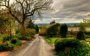 England, Horwich town, road, trees, houses wallpaper thumb
