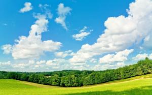 Trees, grass, blue sky, white clouds, summer wallpaper thumb
