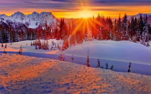 Washington, USA, winter, mountains, trees, snow, sunset wallpaper thumb