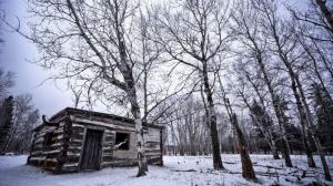 Abandoned wood cabin in the winter forest wallpaper thumb