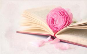 Pink rose flower with book wallpaper thumb
