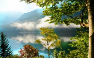 Nature scenery, mountains, forest, trees, lake, mist, morning, reflection wallpaper thumb