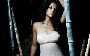 Michelle Rodriguez Lovely wallpaper thumb