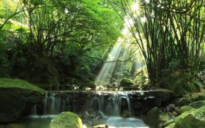 Forest, river, waterfall, rocks, moss, sun rays wallpaper thumb