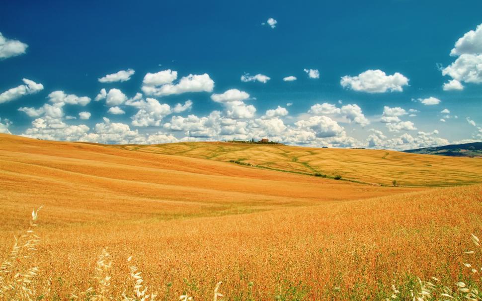Italy, Tuscany, summer fields, sky, clouds, yellow, blue wallpaper,Italy HD wallpaper,Tuscany HD wallpaper,Summer HD wallpaper,Fields HD wallpaper,Sky HD wallpaper,Clouds HD wallpaper,Yellow HD wallpaper,Blue HD wallpaper,1920x1200 wallpaper