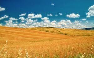 Italy, Tuscany, summer fields, sky, clouds, yellow, blue wallpaper thumb