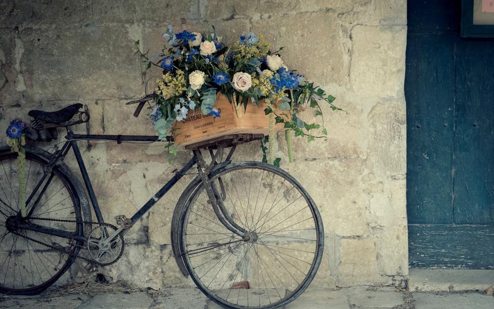 Bicycle Flower Support wallpaper,Bicycle HD wallpaper,vintage HD wallpaper,1920x1200 wallpaper
