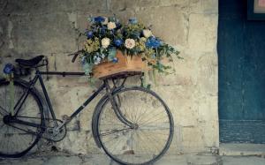 Bicycle Flower Support wallpaper thumb
