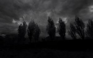 Silhouette Trees Clouds Dark Wind HD wallpaper thumb