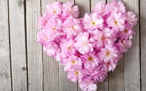 Pink flowers, love heart, wood board wallpaper thumb