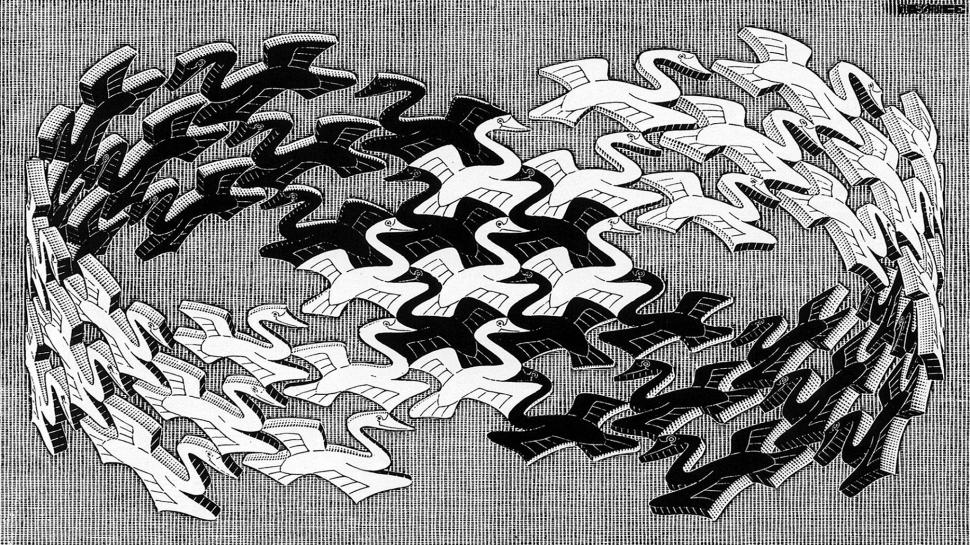 Artwork, M. C. Escher, Monochrome, Psychedelic, Animals, Bird, Flying, 3D, Mobius Strip wallpaper,artwork HD wallpaper,m. c. escher HD wallpaper,monochrome HD wallpaper,psychedelic HD wallpaper,animals HD wallpaper,bird HD wallpaper,flying HD wallpaper,3d HD wallpaper,mobius strip HD wallpaper,2048x1152 wallpaper