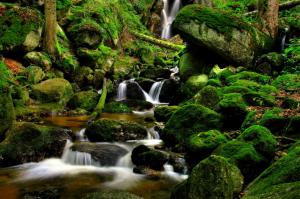 Beautifull Waterfall With Moss  High Resolution Jpeg wallpaper thumb