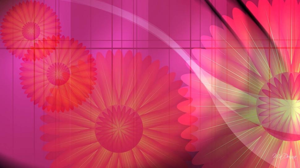 Daisy Abstract wallpaper,bright HD wallpaper,pink HD wallpaper,colors HD wallpaper,daisies HD wallpaper,flowers HD wallpaper,spring HD wallpaper,abstract HD wallpaper,summer HD wallpaper,daisy HD wallpaper,3d & abstract HD wallpaper,1920x1080 wallpaper