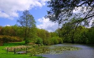 England, Leeds Castle, garden, pond, grass, bushes, trees wallpaper thumb
