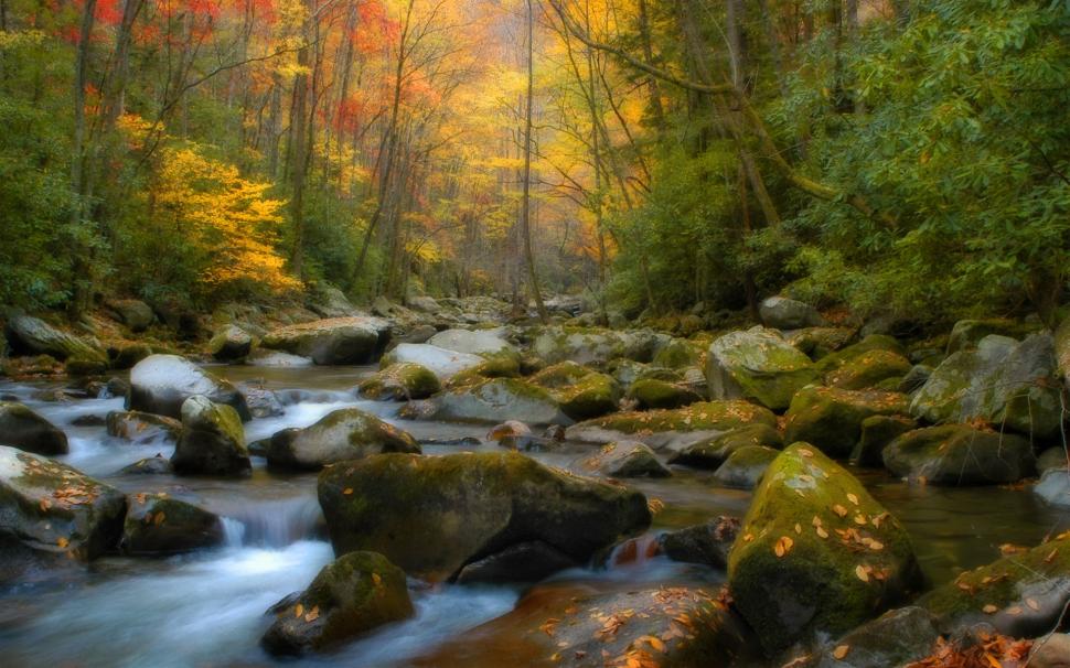 Nature, Landscape, Forest, Trees, Rocks, Stream, Water, Green, Leaves, Scenic, Photography wallpaper,nature HD wallpaper,landscape HD wallpaper,forest HD wallpaper,trees HD wallpaper,rocks HD wallpaper,stream HD wallpaper,water HD wallpaper,green HD wallpaper,leaves HD wallpaper,scenic HD wallpaper,1920x1200 wallpaper